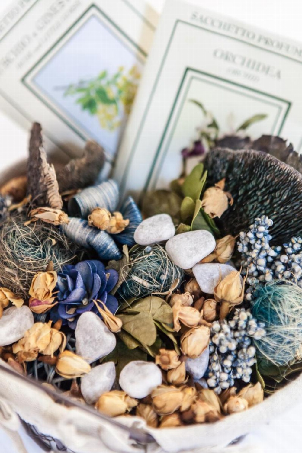 Colosseum Historical Villa